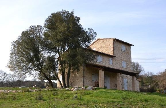 Agriturismo Surripa Amelia Extérieur photo